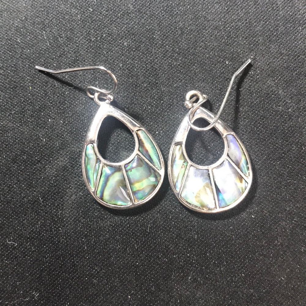 Abalone shell earrings